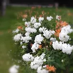 Apartamento Christl's Traum