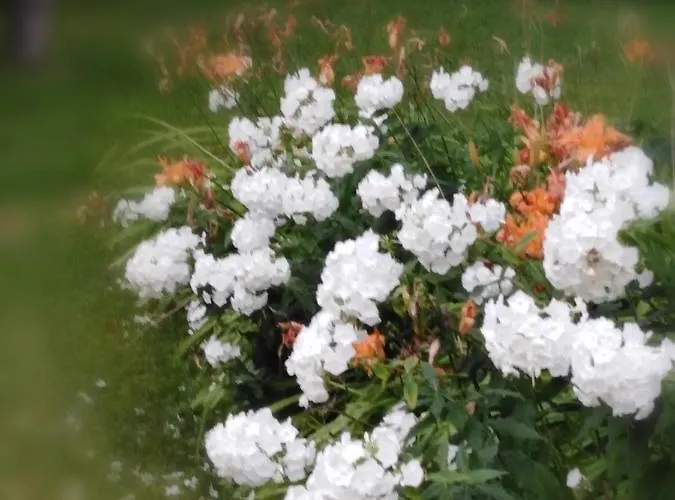 Apartman Christl's Traum