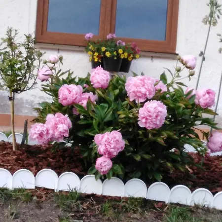 Christl's Traum Saint Wolfgang